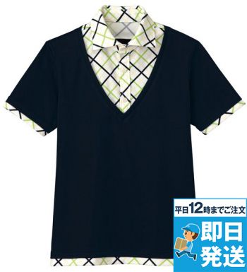 �쥤�䡼�ץ륪���С�