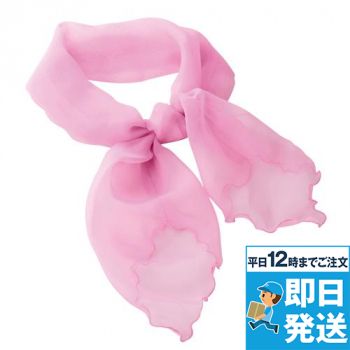 [廃番]EAZ353 Enjoy スカーフ