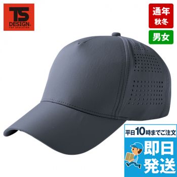 84923 TSデザイン COLOR L