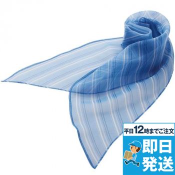 [廃番]EAZ363 Enjoy スカーフ
