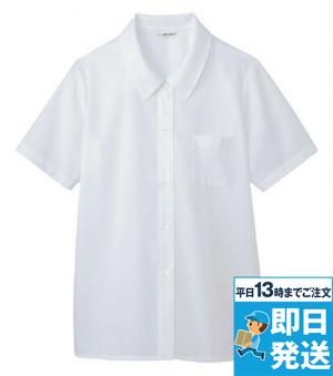 [廃番]BL-434 チトセ(アルベ) 半袖ブラウス 光沢感