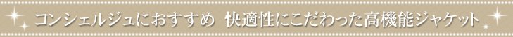 サブタイトル