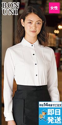 24215 ボストン商会 ホリゾンタルカラーシャツ/長袖(女性用)