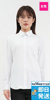 24243 ボストン商会 ニットシャツ/長袖(女性用)