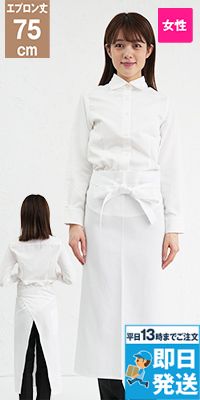 A-6620 チトセ(アルベ) ソムリエエプロン(女性用)