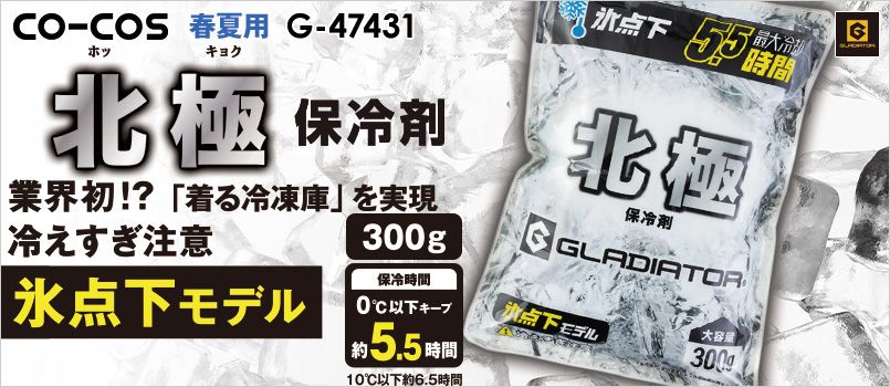 コーコス GI-47431 [春夏用]北極 -10℃ 保冷剤（300g） 