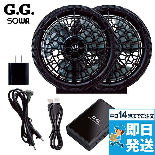 桑和GG 16108 [通年]デバイスセット