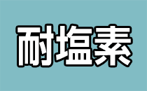 耐塩素エプロン