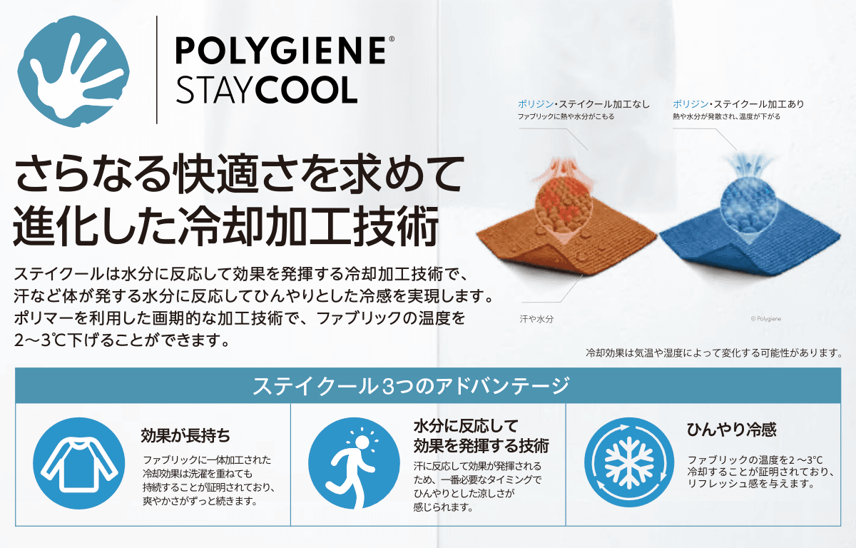 ステイクール 特徴