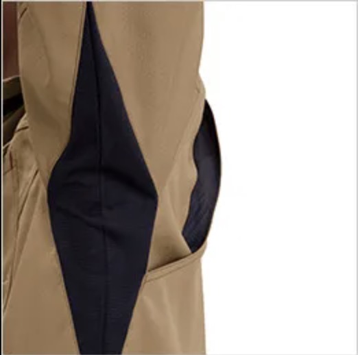 アームノーフォークの画像