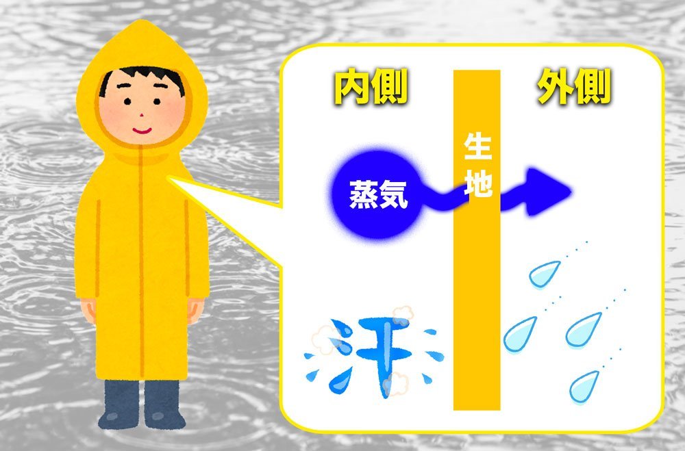 透湿性のイメージ図