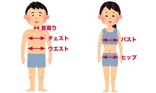 ヌード寸（全身）