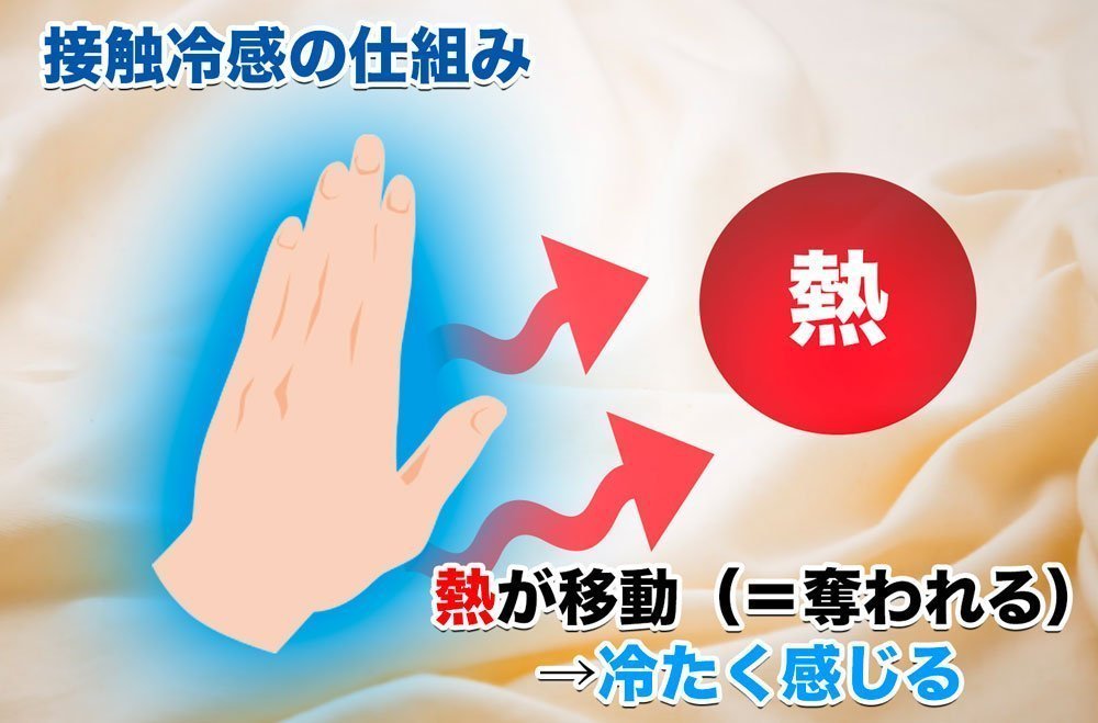 接触冷感の仕組み