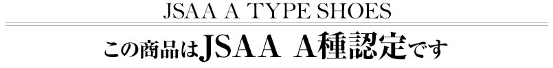 この商品はJSAA A種認定です
