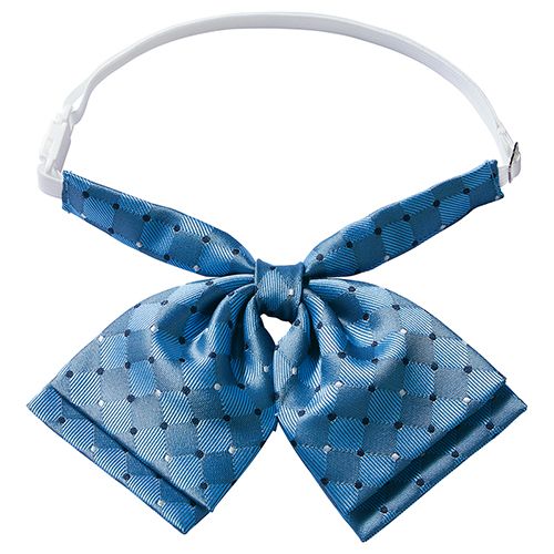 55-861268 007 サックス