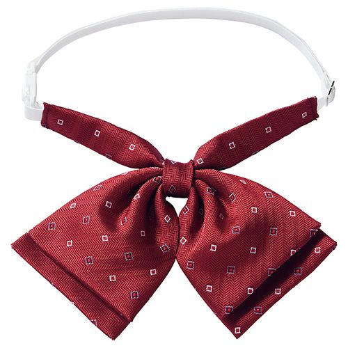 55-861268 009 レッド