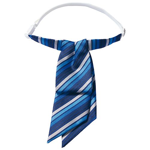 55-861269 006 ブルー