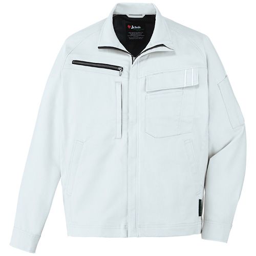 56-11100 036 シルバー