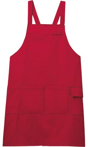 98-CAE005 1 レッド