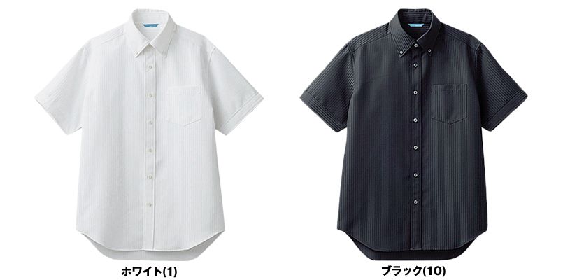 BC-6919 チトセ(アルベ) ブランチ ボタンダウンシャツ/半袖(男性用) 色展開
