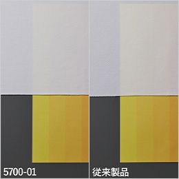 4.4オンス ドライスムース リサイクルポリエステル Tシャツ セミダル糸を使用することで、テカリが抑えられた自然な光沢感を実現しつつ、一般的なポリエステルメッシュ生地のドライTシャツと比較して透け感も軽減（当社比）。淡色でも安心して着用することができます。