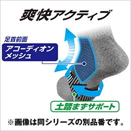 コーコス G-9261 [通年]ニオイクリア ロークルー先丸2P 足首前面アコーディオンメッシュ・土踏まずサポート