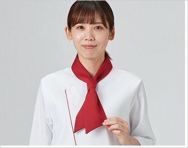 SerVo(サーヴォ) AN8100 タイ [男女兼用] 形を整えて完成！