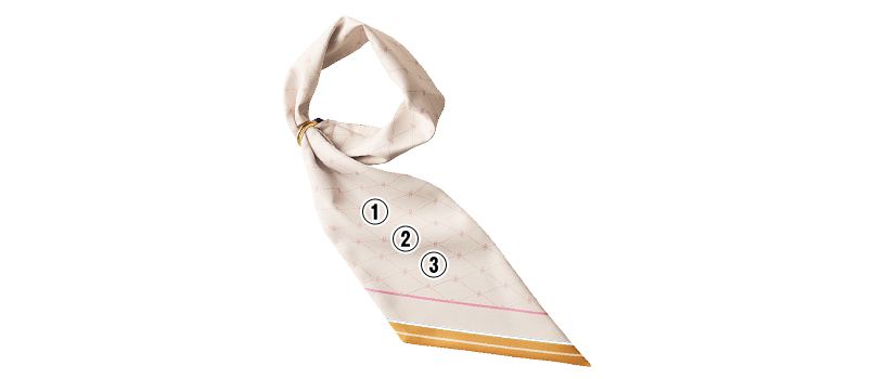 ラグビーワールドカップ2019　スカーフ【限定品】 ロングスカーフ（リバーシブル）｜ユニフォームの通販なら