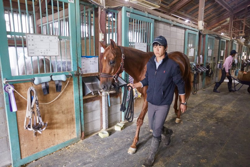 信頼関係で結ばれたインストラクターと馬の息はぴったり