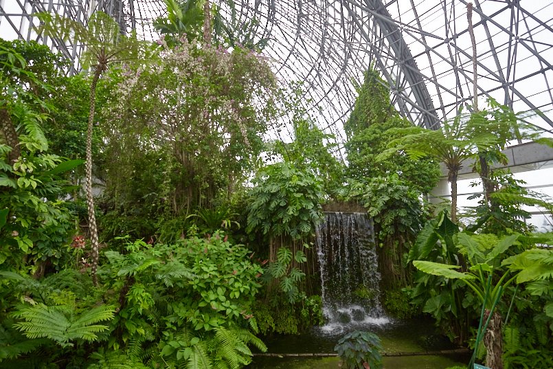 滝が流れる大温室は、植物の圧倒的なパワーを感じる空間