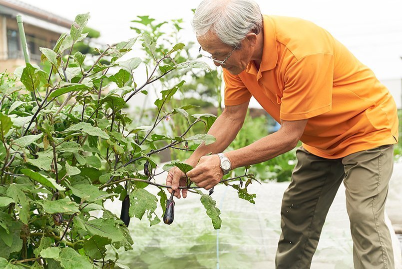丹精込めて育てた野菜の味は最高ですよ!